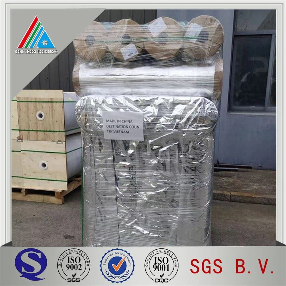 Powłoka Vmpet Ldpe 10mic 6+3